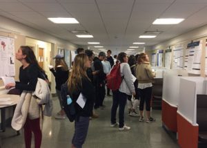 Students in hallway looking at research posters