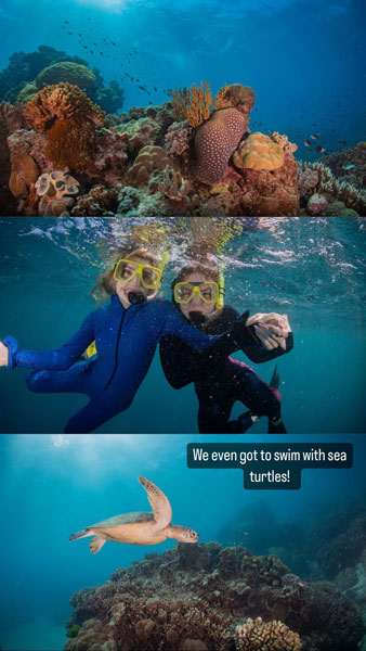 a collage of underwater photos with the phrase "we even got to swim with turtles"