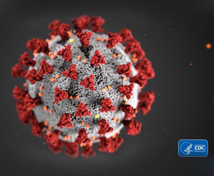 Illustration of a coronavirus by the Centers for Disease Control and Prevention (CDC)