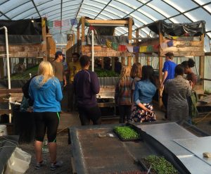 Food studies students visiting a greenhouse at Main Street Farms.