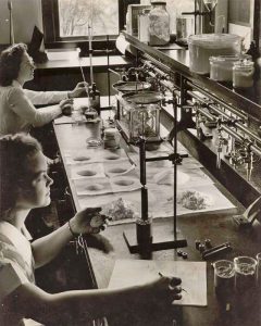 two women are working in a laboratory