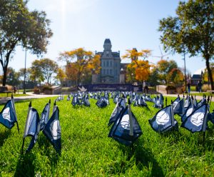 Remembrance Week flags in front of the Hall of Languages