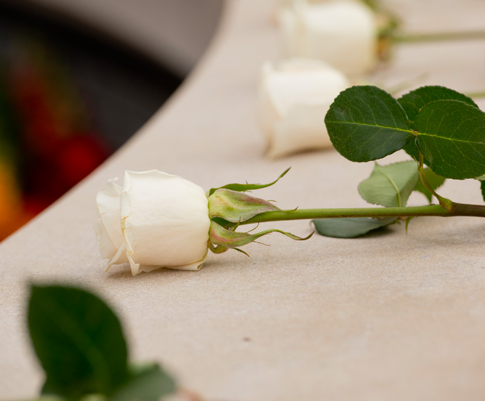 White Roses at the Place of Remembrance for the Rose-Laying Ceremony